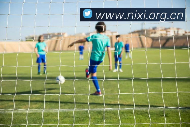 米兰app体育登录入口安全吗平台生态图